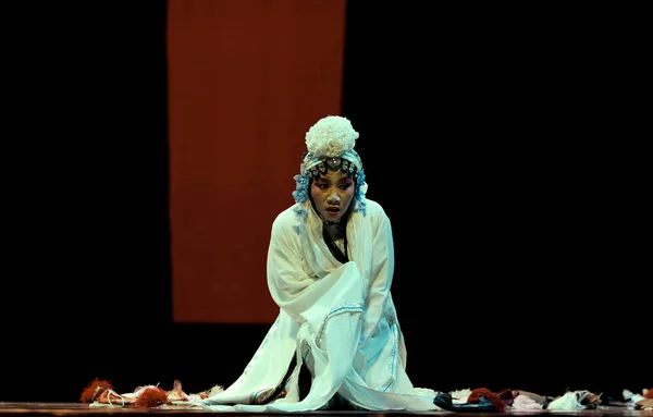 中国著名戏剧家田曼沙 — 图库照片