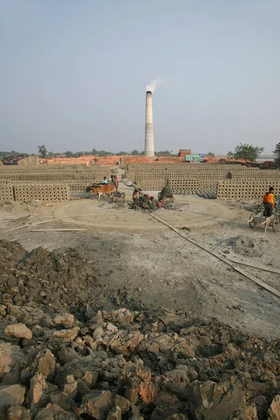 Sarberia India Styczeń Brickfield Duży Obszar Używany Produkcji Cegieł Błota Obraz Stockowy