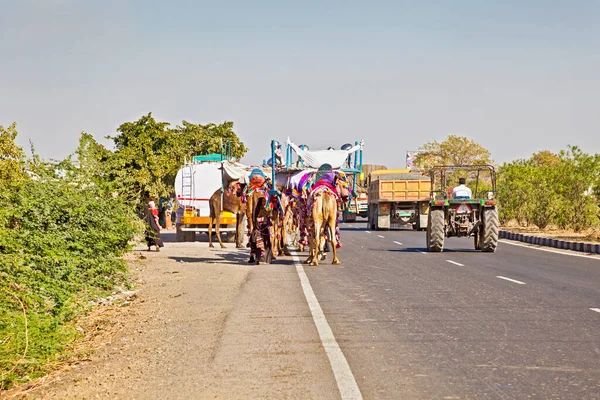 stock image Camel Train Tractor and Trucks, India
