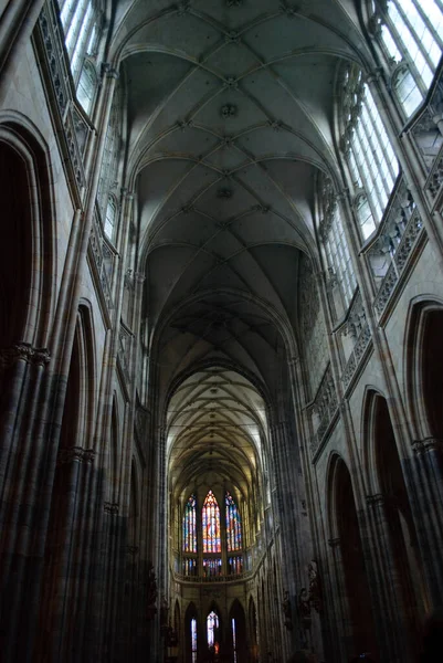 Vitus Katedral Interiör — Stockfoto