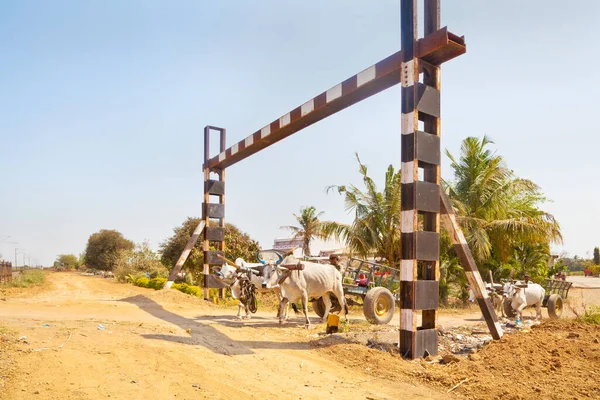 Bullock Carts Approach Unmanned Rail Crossing — Stock Photo, Image
