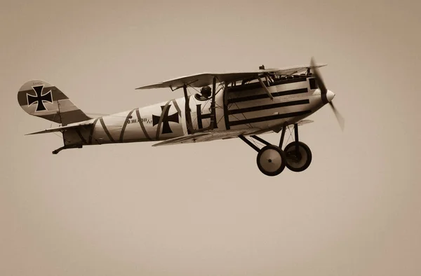 Pfalz Iii Daytime Shot Aviation Concept — Stock Photo, Image