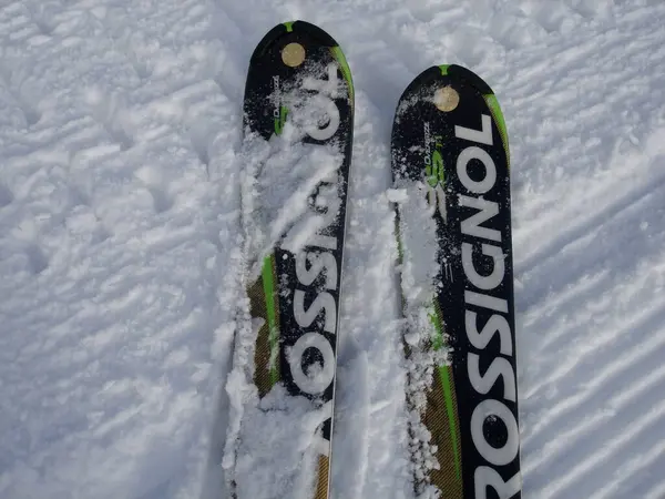 斯堪的纳维亚生活方式滑雪观 — 图库照片