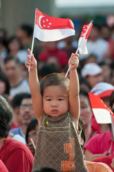 Penonton Mengibarkan Bendera Singapura Selama Parade Hari Nasional Stok Gambar