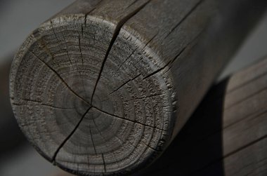 Ahşap kütük, kapat. 