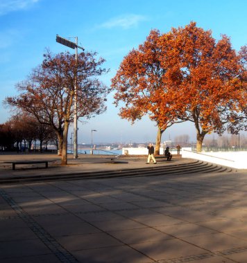 Mainz 'de sonbaharda gezinti, Almanya