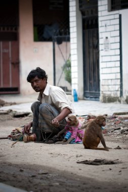 Hokkabaz ya da Madaari Maymunuyla