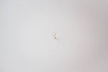 Beyaz duvardaki kablolar