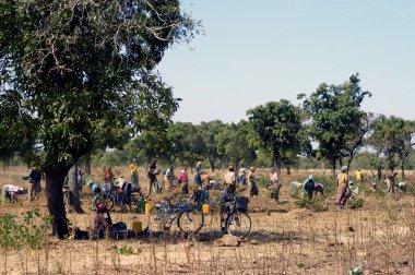 Poura, Afrika 'daki altın madeninde çalışma süreci