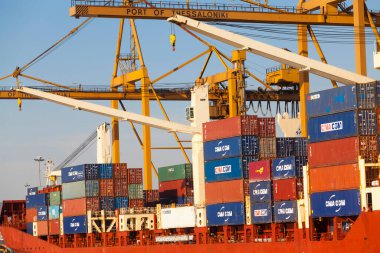 Turnalar konteynırları limanda yükler