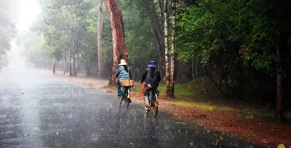 People Riding Bicycles Rainy Forest — Stockfoto
