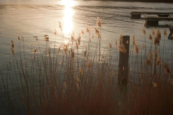 Lake Docks Early Morning Sun — Stock Photo, Image