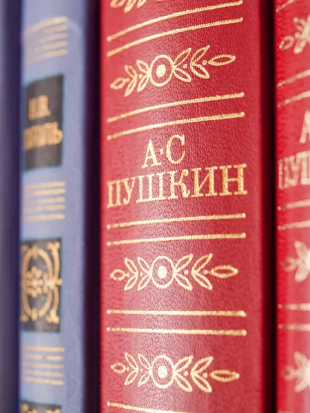 Alexander Puşkin Bir Kitabı Rus Klasik Şairi — Stok fotoğraf