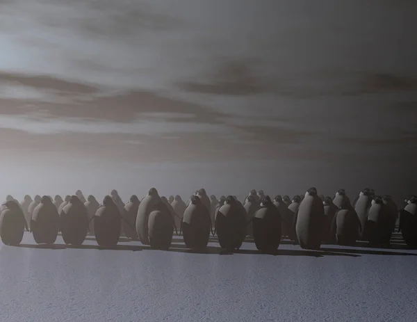 Pinguins Natureza Selvagem Tiro Diurno — Fotografia de Stock