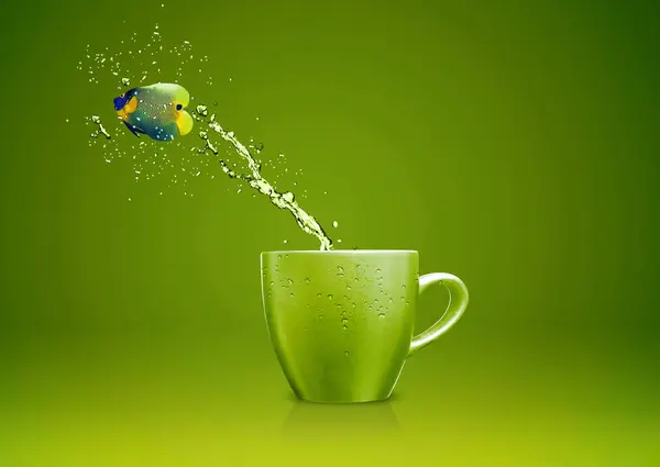 Fish Jumping Cup Green Background — Stock Photo, Image