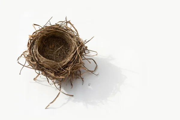 Empty Nest White Background — Stock Photo, Image