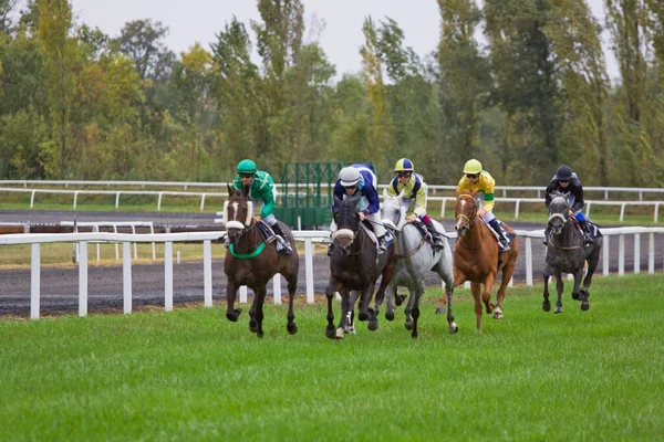 Horse Racing France — Stock Photo, Image