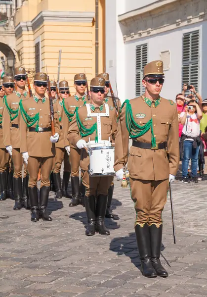 Guards of honor at the Presidential palace in Budapest
