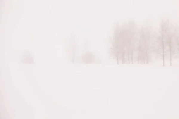 Snowy Landscape Scenic View — Stock Photo, Image