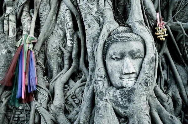 Buddhova Socha Kořenech Stromu — Stock fotografie