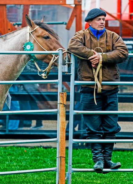 Montevideo Uruguay September 2008 Gaucho Horse Show Expo Prado — Stock Photo, Image
