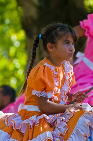 Празднование Ежегодного Фестиваля Гаучо Традиционный Праздник — стоковое фото