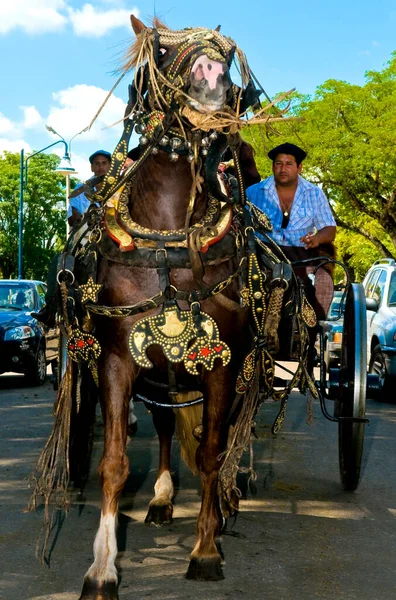 Viering Jaarlijks Gaucho Festival Traditionele Vakantie — Stockfoto