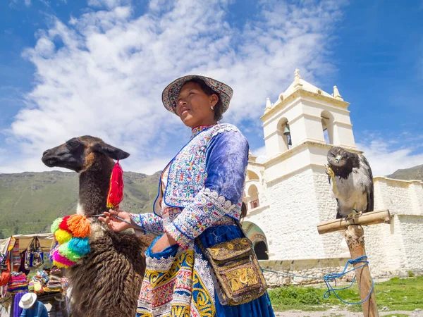 Velha Mulher Peruana Sua Alpaca — Fotografia de Stock