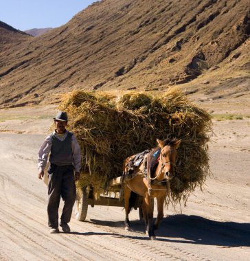 Tibet 'in manzaralı çekimi - Havan Zamanı