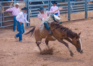 Gallup, new mexico - Ağustos 10: kovboy yer aldığı bir bucking at rekabet gallup, nm üzerinde Ağustos 10 2013 yılında 92 yıllık Kızılderili Rodeo
