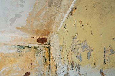 Terk edilmiş evin duvar ve tavanı