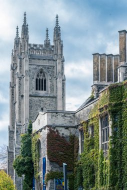 Toronto Üniversitesi Hart Malikanesi