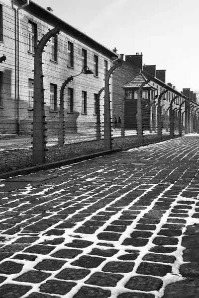 Campo Concentramento Auschwitz Polonia — Foto Stock