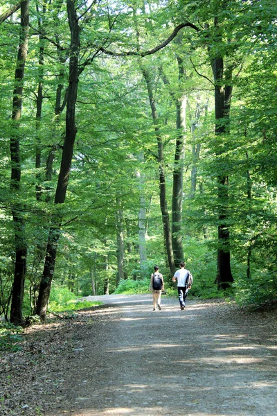 Couple Trekking Famous Forest Park Bratislava — Stock Photo, Image