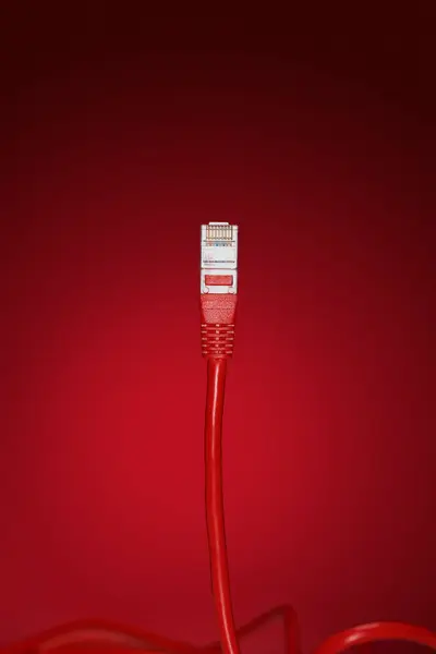 Data Kabel Plug Rode Achtergrond — Stockfoto