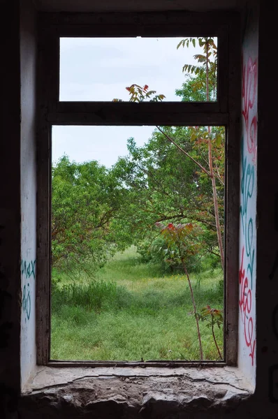 Cadre Fenêtre Paysage Abstrait — Photo