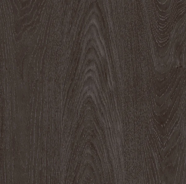 stock image Abstract creative backdrop. wooden black texture