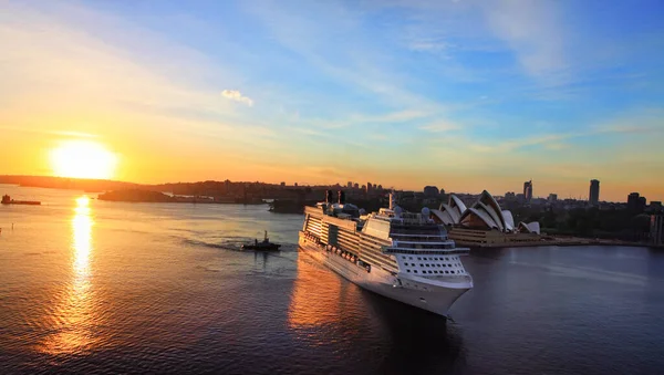 Paquebot Croisière Luxe Arrivant Sydney Circular Quay Australie — Photo