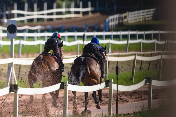 Jockeys Race Horses Sand Training — Stock fotografie