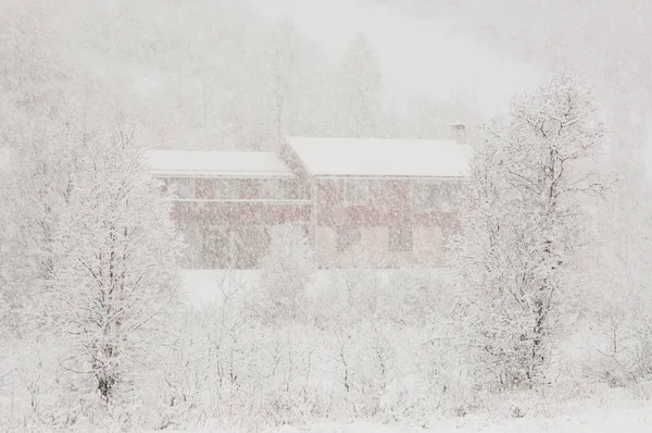Červený Dům Silném Sněžení — Stock fotografie
