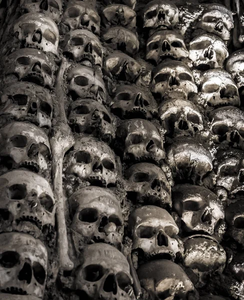 頭蓋骨と骨の完全な壁 — ストック写真