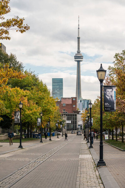 Вид на башню CN из Университета Торонто