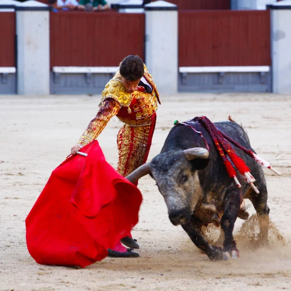 伝統的な回廊 スペインで闘牛 — ストック写真