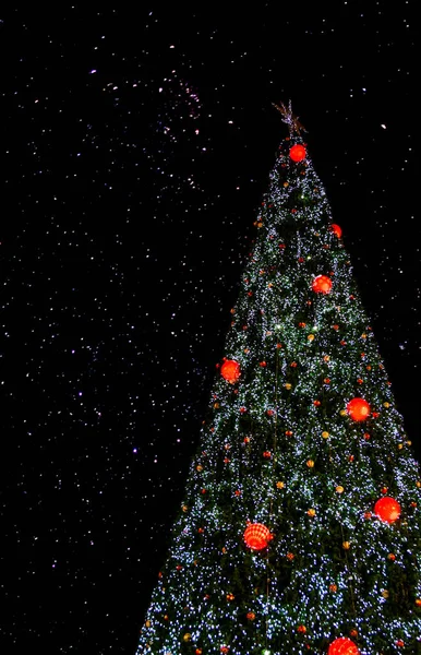 Vacker Festlig Julgran För Nytt Eller Jul Bakgrund — Stockfoto