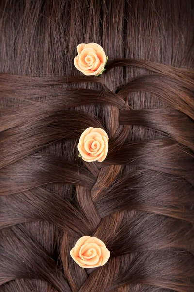 Long Brown Hair Braid Back View — Stock Photo, Image