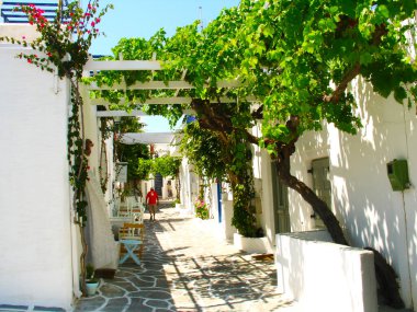 Picturesque neighborhood in Paros
