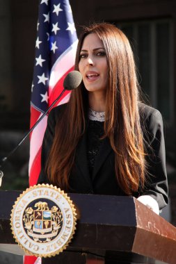  Kerri Kasem ve Mike Gatto Basın Konferansı 'nda hasta ebeveynlere, Los Angeles Yüksek Mahkemesi' ne, Los Angeles 'a erişim hakkı tanıyan çocukların haklarını koruyan yasayı duyurmak için toplandık. 