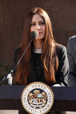  Kerri Kasem ve Mike Gatto Basın Konferansı 'nda hasta ebeveynlere, Los Angeles Yüksek Mahkemesi' ne, Los Angeles 'a erişim hakkı tanıyan çocukların haklarını koruyan yasayı duyurmak için toplandık. 