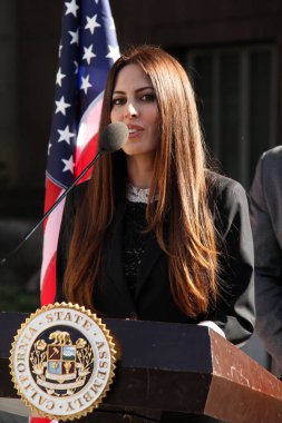  Kerri Kasem ve Mike Gatto Basın Konferansı 'nda hasta ebeveynlere, Los Angeles Yüksek Mahkemesi' ne, Los Angeles 'a erişim hakkı tanıyan çocukların haklarını koruyan yasayı duyurmak için toplandık. 