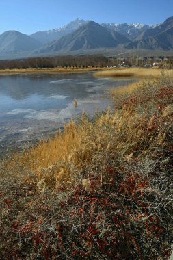 dağ, taş ve akışı Ladakh, Hindistan ile manzara 